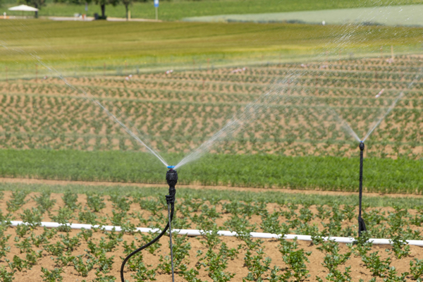Irrigation System